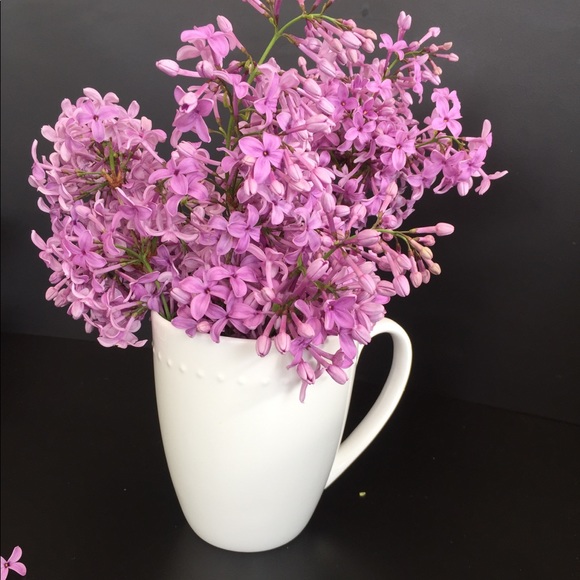 Meet your Posher, Jeannie - Picture 1 of 1